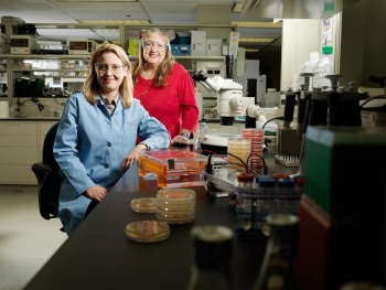 Dr. Margaret Romine (right), Pacific Northwest National Laboratory, mentors postdoctoral fellows and early career scientists on her projects, encouraging them to explore new directions and learn new techniques. Dr. Margaret Romine (right), Pacific Northwest National Laboratory, mentors postdoctoral fellows and early career scientists on her projects, encouraging them to explore new directions and learn new techniques.