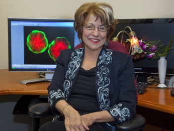 Dr. Mina Bissell has been recognized for her lifetime contributions to the fields of breast cancer research, the enhanced role of extracellular matrix (ECM) and the nucleus environment to gene expression in normal and malignant tissues. Dr. Mina Bissell has been recognized for her lifetime contributions to the fields of breast cancer research, the enhanced role of extracellular matrix (ECM) and the nucleus environment to gene expression in normal and malignant tissues.