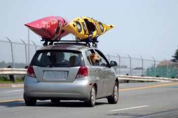 Tips: Transportation Tips: Transportation