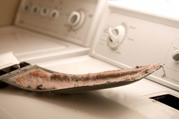 The Environmental Protection Agency estimates that just cleaning the lint screen before each and every load of laundry can save you an average of $34 per year. | Photo courtesy of ©iStockphoto.com/Kameleon007 The Environmental Protection Agency estimates that just cleaning the lint screen before each and every load of laundry can save you an average of $34 per year. | Photo courtesy of ©iStockphoto.com/Kameleon007
