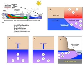 Figure 3: Conceptual model of uranium attenuation processes in the Savannah River F Area Seepage Basins plume, including adsorption/desorption (1); dissolution/precipitation (2); mixing/dilution (3); aqueous reactions (4); microbial interactions (5); and abiotic organic interactions (6). Figure 3: Conceptual model of uranium attenuation processes in the Savannah River F Area Seepage Basins plume, including adsorption/desorption (1); dissolution/precipitation (2); mixing/dilution (3); aqueous reactions (4); microbial interactions (5); and abiotic organic interactions (6).