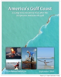 A Path Forward for the Gulf Coast A Path Forward for the Gulf Coast
