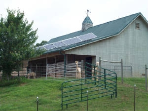Alpacas stand outside a solar powered barn on the property of Larry and Cathi Dietsch | Photo courtesy of Larry Dietsch Alpacas stand outside a solar powered barn on the property of Larry and Cathi Dietsch | Photo courtesy of Larry Dietsch