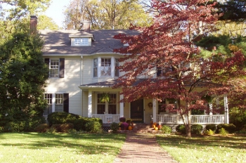 Trees can save you energy by blocking sunlight in the summer and letting it through in the winter. | Photo courtesy of ©iStockphoto/blackie Trees can save you energy by blocking sunlight in the summer and letting it through in the winter. | Photo courtesy of ©iStockphoto/blackie