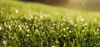 Celebrate Earth Day every day this year. | Photo courtesy of ©iStockphoto.com/nazarethman Celebrate Earth Day every day this year. | Photo courtesy of ©iStockphoto.com/nazarethman