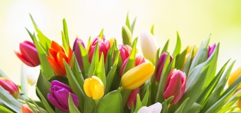 Delivering flowers is one of many ways to brighten your mom's day next weekend. | Photo courtesy of ©iStockphoto.com/Moncherie Delivering flowers is one of many ways to brighten your mom's day next weekend. | Photo courtesy of ©iStockphoto.com/Moncherie