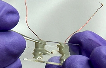 The sensor part of the device is about 2 millimeters in size | Courtesy of LLNL The sensor part of the device is about 2 millimeters in size | Courtesy of LLNL