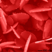 Nanoparticles grown under the irradiation of high-energy X-rays | Source: Argonne National Lab and Carnegie Institution of Washington Nanoparticles grown under the irradiation of high-energy X-rays | Source: Argonne National Lab and Carnegie Institution of Washington