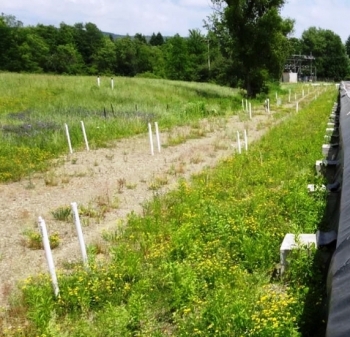 In the two years prior to the operation of the permeable treatment wall, pictured here, WVDP conducted extensive engineering and planning to ensure it would effectively remove strontium-90. In the two years prior to the operation of the permeable treatment wall, pictured here, WVDP conducted extensive engineering and planning to ensure it would effectively remove strontium-90.