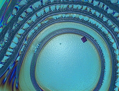 An optical micrograph of a polymer film that self-assembles into ordered nanoscale structures. | Photo Courtesy of Argonne National Laboratory An optical micrograph of a polymer film that self-assembles into ordered nanoscale structures. | Photo Courtesy of Argonne National Laboratory