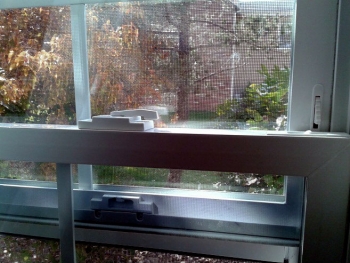 Look at this gorgeous, energy-efficient, double-hung window! I requested the little locks on the side so they canât be opened too far. | Photo courtesy of Andrea Spikes. Look at this gorgeous, energy-efficient, double-hung window! I requested the little locks on the side so they canât be opened too far. | Photo courtesy of Andrea Spikes.