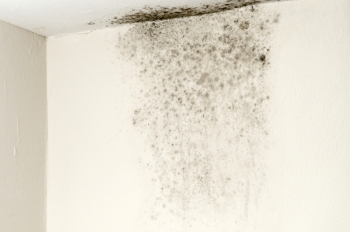 Controlling moisture can make your home more energy-efficient, less costly to heat and cool, more comfortable, and prevent mold growth. Controlling moisture can make your home more energy-efficient, less costly to heat and cool, more comfortable, and prevent mold growth.