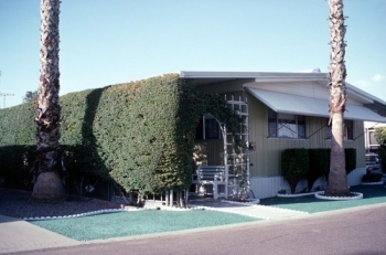 A trellis with a climbing vine can shade a home and still allow air circulation. â¨| Photo courtesy of John Krigger, Saturn Resource. A trellis with a climbing vine can shade a home and still allow air circulation. â¨| Photo courtesy of John Krigger, Saturn Resource.