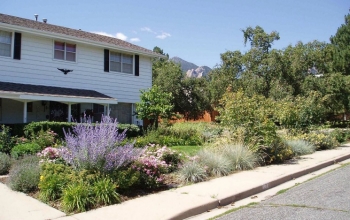 This colorful water-conserving landscape requires only one-quarter the water a bluegrass lawn would use. | Photo courtesy of Jim Knopf.
This colorful water-conserving landscape requires only one-quarter the water a bluegrass lawn would use. | Photo courtesy of Jim Knopf.