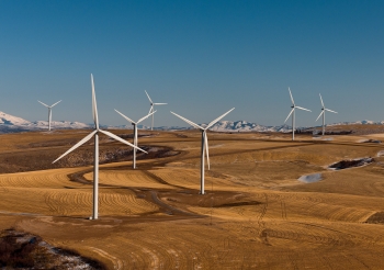 11. A Banner Year for Wind Energy