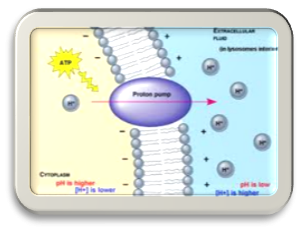 Xergy's technology has the potential to move away from vapor compression technology.<BR />
Image: Xergy
Xergy's technology has the potential to move away from vapor compression technology.<BR />
Image: Xergy