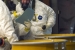 Workers review procedure for the sludge repack project.