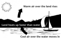 Ocean Wave Interaction with Ships and Offshore Energy Systems