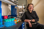 Sandia chemical engineer Nancy Jackson has worked in laboratories around the world to help ensure that chemicals are used safely and kept secure. The American Association for the Advancement of Science honored her with the 2013 Science Diplomacy Award. | Photo by Randy Montoya, Sandia National Lab.