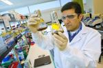 The Startup America Policy Challenge wants your ideas on how we can accelerate innovation in clean energy and position the United States to lead in this critical sector. | Photo Courtesy of JBEI.