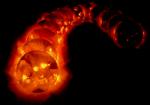 While this week's solar storm captures the interest of scientists, researchers and people around the world, the Energy Department works with others to monitor the storm's potential impact on the nation's electrical grid. | Image credit: NOAA.
