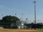 Metal halide light fixtures at Pompey Park are saving the City of Delray Beach money on its electricity bills. | Photo courtesy of the City of Delray Beach