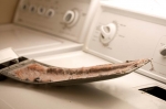 The Environmental Protection Agency estimates that just cleaning the lint screen before each and every load of laundry can save you an average of $34 per year. | Photo courtesy of ©iStockphoto.com/Kameleon007