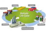 Researchers at Virginia Tech are working to show how biogasoline could potentially be created in existing petroleum refineries, instead of at new biorefineries as shown here. | File illustration