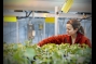 Biomass Research at Oak Ridge National Laboratory  