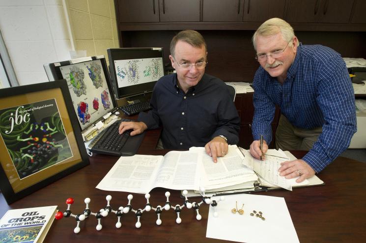 Plant fatty acids are used in a vast range of products, from polymers to plastics and soaps to industrial feed stocks -- making up an estimated $150 billion market annually. A new discovery of inserting double bonds in the fatty acids could show the way to the designer production of plant fatty acids, and, in turn, to new industrial applications and new products. <a href ="http://energy.gov/articles/solving-mystery-billion-dollar-bond-double-bond">Read more</a>. Plant fatty acids are used in a vast range of products, from polymers to plastics and soaps to industrial feed stocks -- making up an estimated $150 billion market annually. A new discovery of inserting double bonds in the fatty acids could show the way to the designer production of plant fatty acids, and, in turn, to new industrial applications and new products. <a href ="http://energy.gov/articles/solving-mystery-billion-dollar-bond-double-bond">Read more</a>.