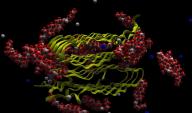 This is a visualization of drug molecules ("parade day-like balloons") in a simulated attack of the ribbon-like protein fibrils that are believed to be the cause of Alzheimer’s disease. <a href="http://energy.gov/photos/supercomputers-pictorial-superpowers">Click here to see more amazing supercomputer simulations</a>. | Image courtesy of ORNL.